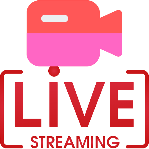 Live Cams Pirn
